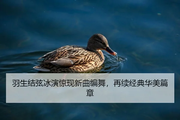 羽生结弦冰演惊现新曲编舞，再续经典华美篇章