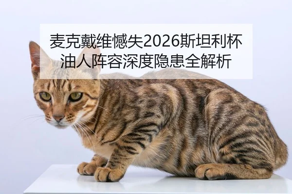 麦克戴维憾失2026斯坦利杯 油人阵容深度隐患全解析